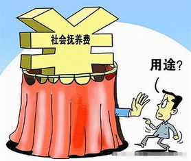 江西省社会抚养费征收管理办法 江西省人口与计划生育条例关于社会抚养费用的标准