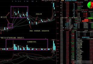 高手推荐一支明天可以买入的短线超做的股票