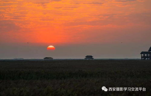 你是不是需要一个长焦镜头