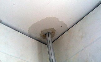 住房墙内管道漏水,责任权属问题 