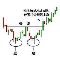 w双底的形成和确定？