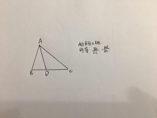 三角形面积程序代码（三角形面积代码c语言）