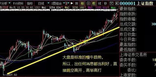 如果我买的股票跌到零、那还有机会吗？