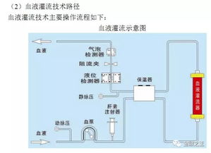 健帆生物，在公司的晋升空间大不大