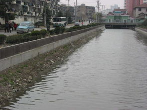 阿拉长宁家门口的河道越来越清澈了 快来看看整治前后的对比图吧