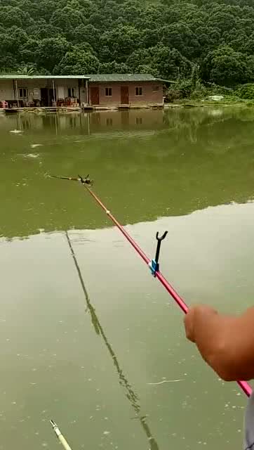 户外野钓,这钓鱼的手法,绝对是高手 