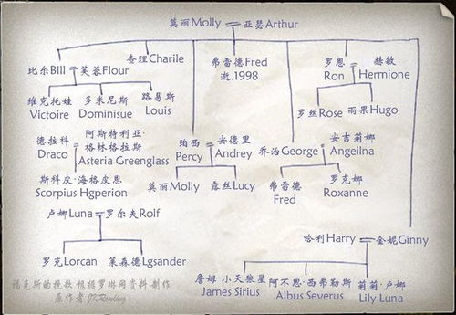 求教哈学达人 关于 哈利波特 中教父的问题 