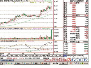 600794保税科技东成本是多少