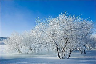 描写雪景的句子经典句子