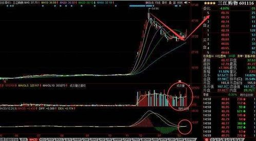 宏达新材20日上涨概率高，突破5日均线，形成阳包阴！