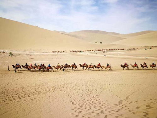 不仅有钜惠,还登山又看海 这一趟,值了 