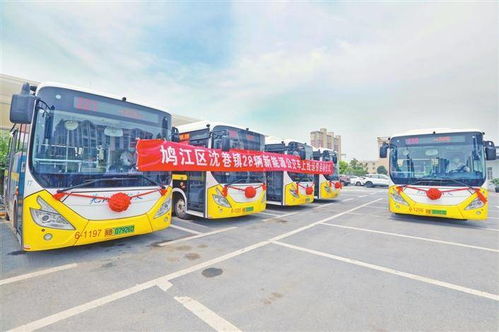 芜湖鸠江区 28辆新能源公交车上线运营
