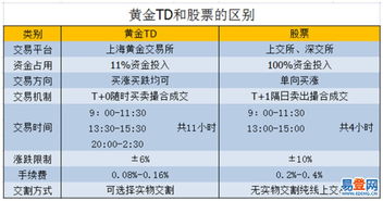 TD和股票有什么不同？