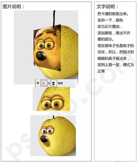 在PS中制作一款恶搞卡通梨子狗