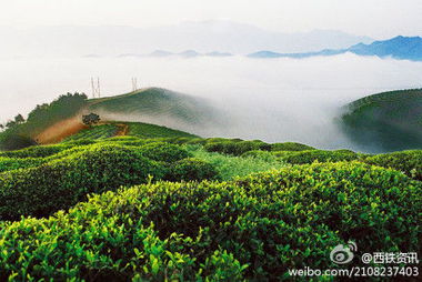 陕西那些事 地名由来汉中市西乡县,与三国时期蜀... 