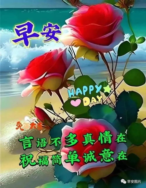 早安图片,早安暖心问候祝福语,日日都健康,与平安同行,与快乐相伴 清晨 早上好 网易订阅 