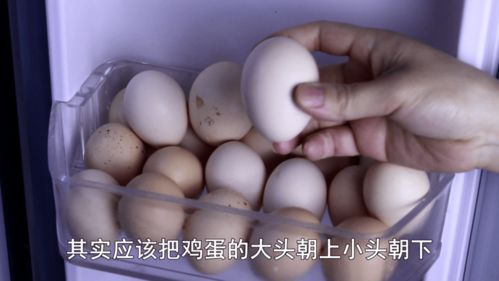 冷知识 鸡蛋存放必须遵循这几个原则,否则好蛋变坏蛋
