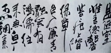 徐晓春书法作品展示 第五期