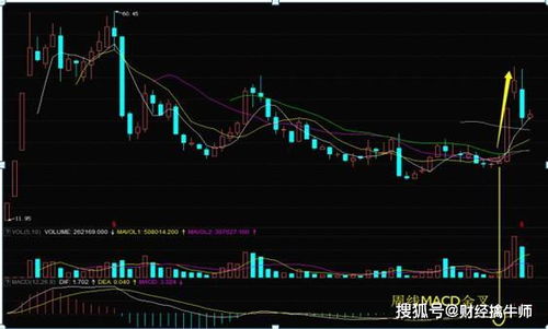 有支股票一天换手率20%，成交量150亿，盘子是750亿。怎么看