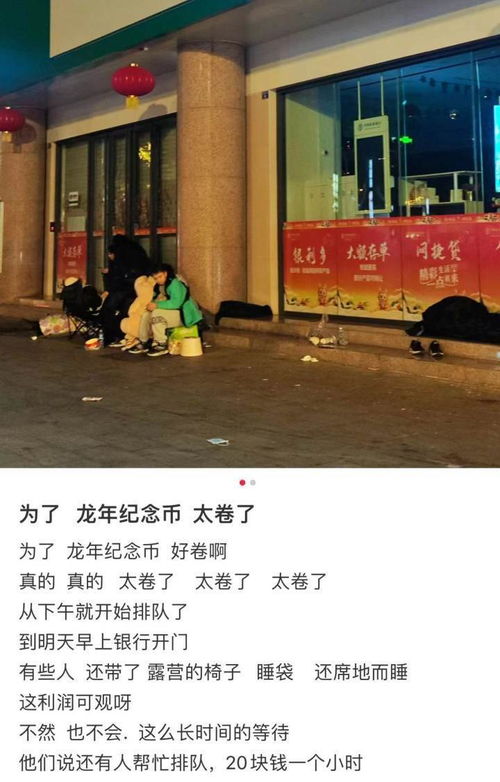 龙币龙钞新闻报道,龙币龙钞成为人气投资品种