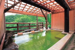温泉王国的日本,还有不少鲜为人知的 奇怪的温泉