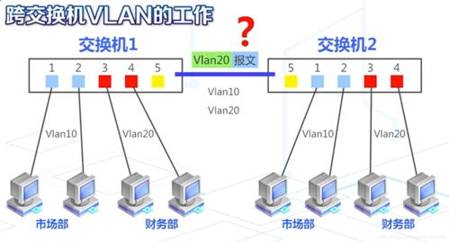 宽带接入服务器是什么(宽带接入服务器一般用于核心层设备)