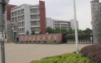 芜湖护理大专学校排名