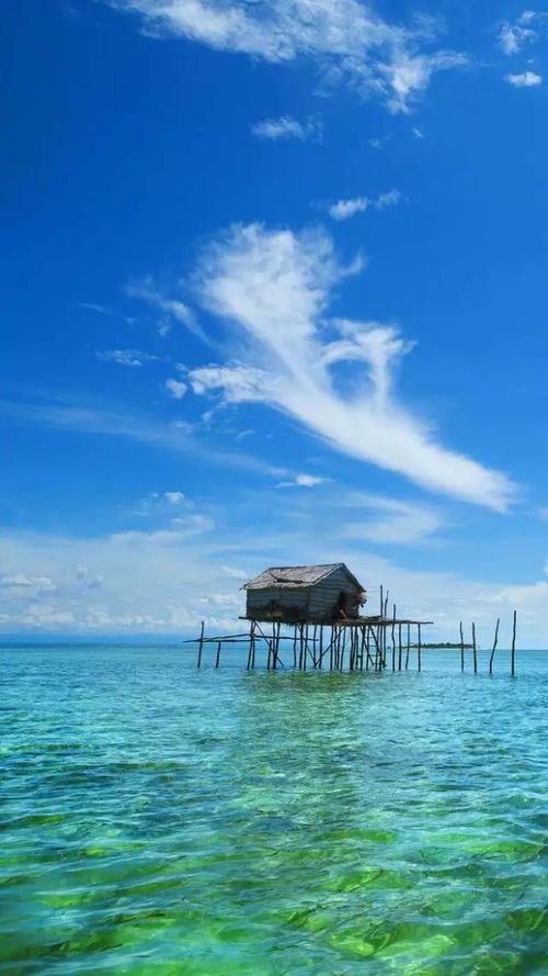 浪漫海岛特效怎么弄好看，怎么在海岛地图用巅峰赛的特效(浪漫海岛宣传语)