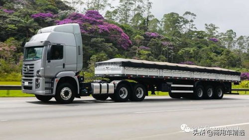 搭载MAN柴油机 售价折合人民币超80万 巴西大众推出星座25.460卡车
