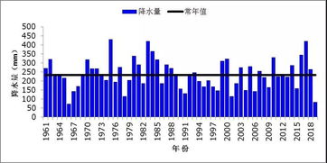 揭开维一精油的神秘面纱