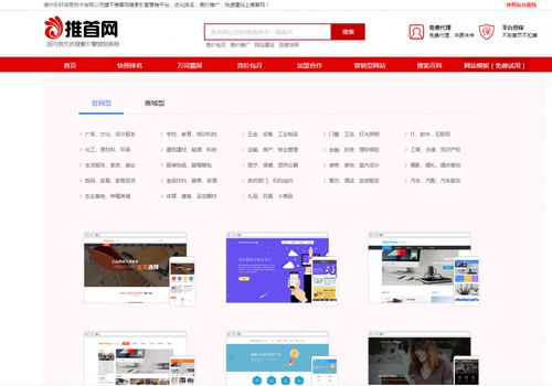 网站优化公司seo案例