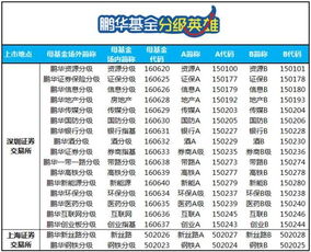 上交所和深交所跟一般的证券公司的区别是什么？