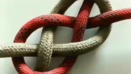 花样系绳子你会吗,教你一个非常简单的系绳法,越拉越紧非常牢固 
