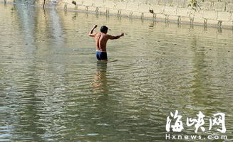 福州琴亭湖边内河四男子网鱼 违反内河管理办法规定 