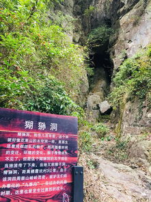 壶潭村 林场 唐田村 栖霞坑 栖霞坑赏红枫唐诗之旅 未命名