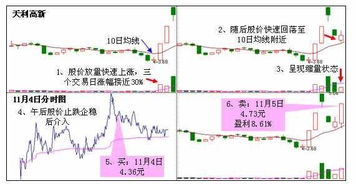 经传软件龙回头辅助是指什么解释