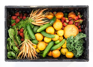 十大夏季水果蔬菜品种图片（十大夏季水果蔬菜品种图片及价格）