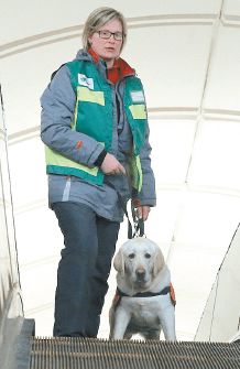 莫斯科训练导盲犬赠送全俄盲人