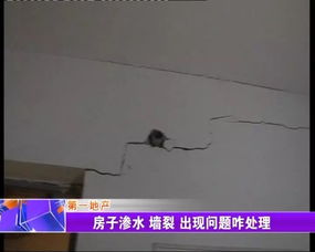 房子也有质保 淄博市民房屋渗水墙裂遭遇维权难