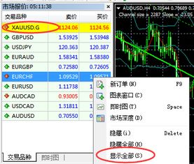 mt4添加比特币行情,如何在MT4平台里面设置顾比线 mt4添加比特币行情,如何在MT4平台里面设置顾比线 融资