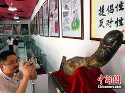 广州性文化博物馆,广州性文化博物馆：探索性文化的奥秘