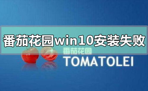 番茄花园win10安装失败