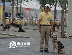 关于警犬名言名句