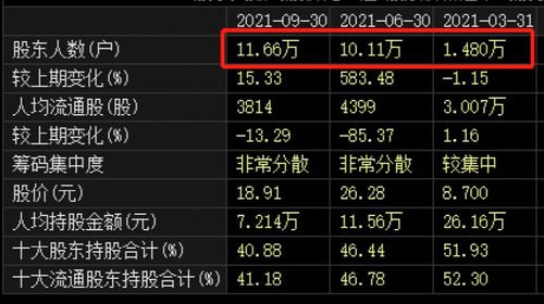 买入了股票手续费己扣，资金己冻结为何没显示持有股票