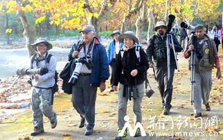 外国客人在京山八字门水库赏鸟摄鸟 