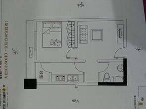 请问我的住房风水怎么样 如果有问题怎么化解 求大师指点 