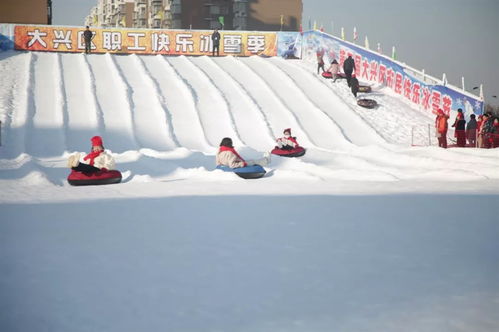 冬奥会冰雪运动知识问答(冬奥会冰雪运动知识问答题)