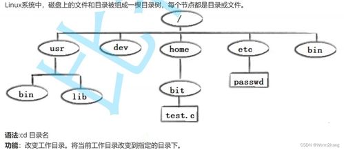 linux命令用于更改当前目录名称,实用干货如何在Liux中轻松更改当前目录名称？