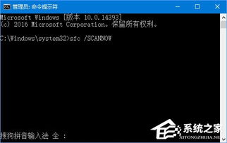 win10卡在设置纯蓝界面