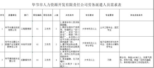 8名 毕节市人力资源开发有限责任公司招聘8名劳务派遣工作员